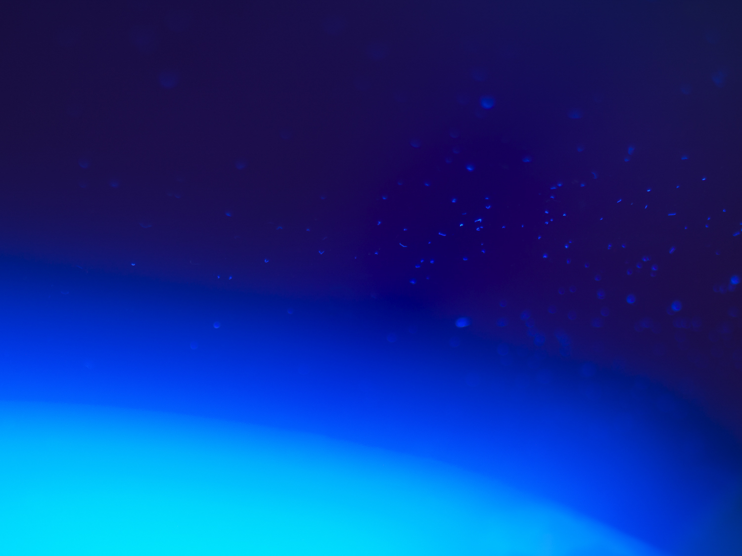 The Blue Hour of Dust 2022