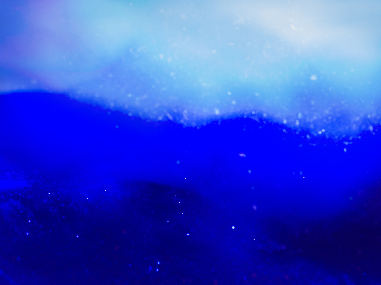 The Blue Hour of Dust 2022