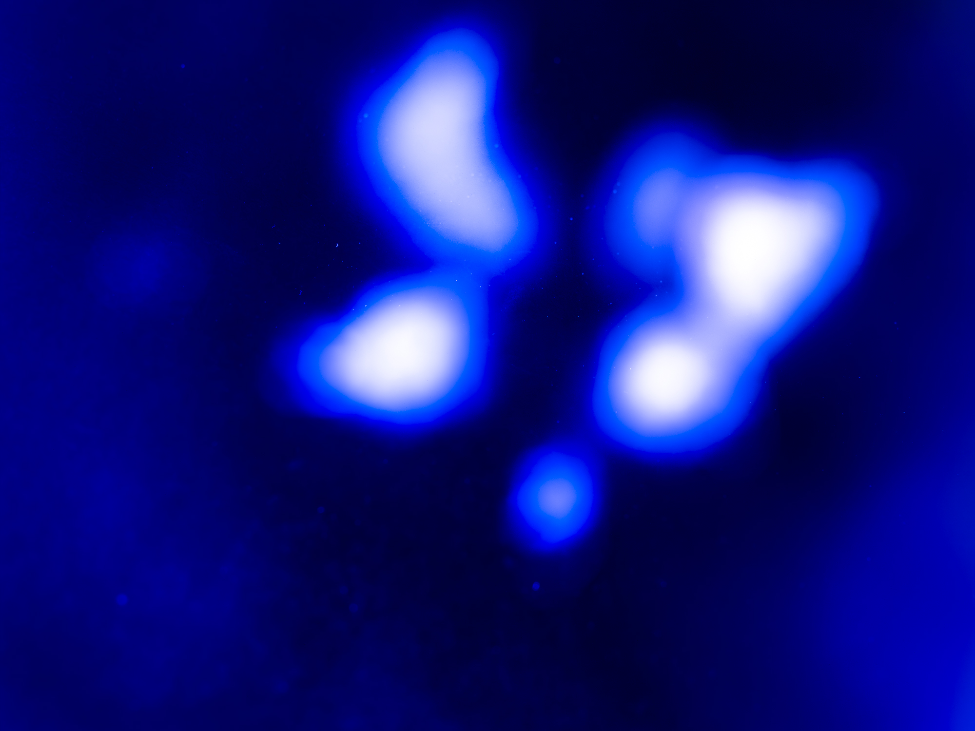 The Blue Hour of Dust 2022